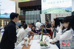 聚焦茶产业发展 政企学庐山脚下共探茶泉融合新路径
